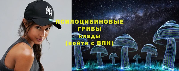 мдпв Бугульма