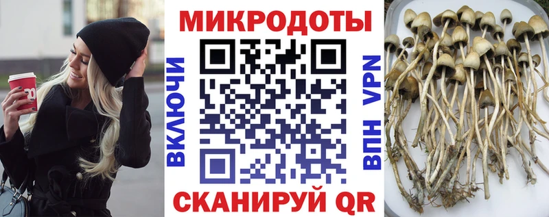 hydra как войти  Кандалакша  Псилоцибиновые грибы GOLDEN TEACHER 