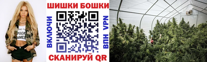 где продают наркотики  Кандалакша  Бошки марихуана планчик 